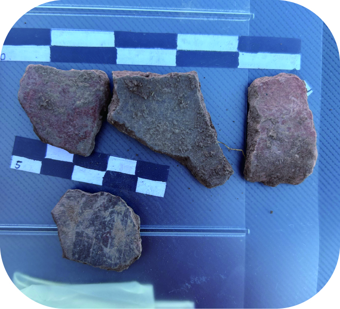 Vol.8 ペルー共和国編！ナスカの地上絵やマチュピチュなど歴史的遺産が多くあることから、世界中から遺跡や歴史について学ぶために留学生が訪れているペルー共和国を紹介！