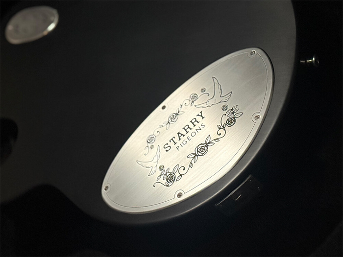 The Portrait Miku Kobato “Starry Pigeons”