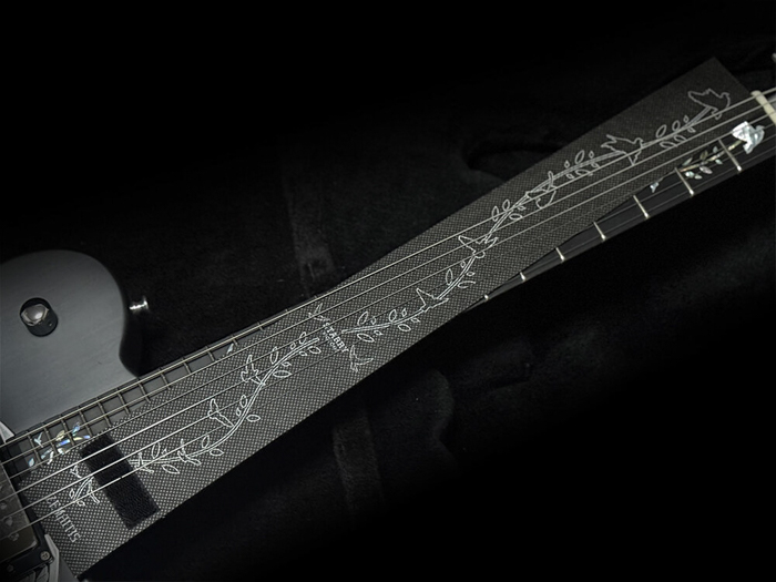 The Portrait Miku Kobato “Starry Pigeons”