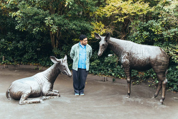 『ナマケモノの朝は、午後からはじまる。』写真