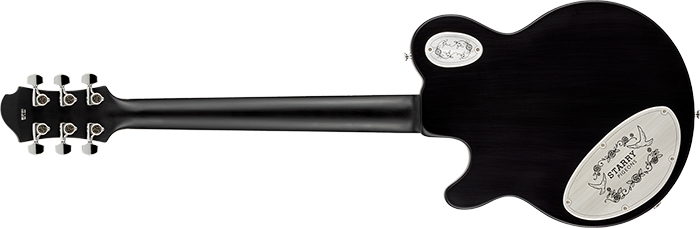 The Portrait Miku Kobato “Starry Pigeons”