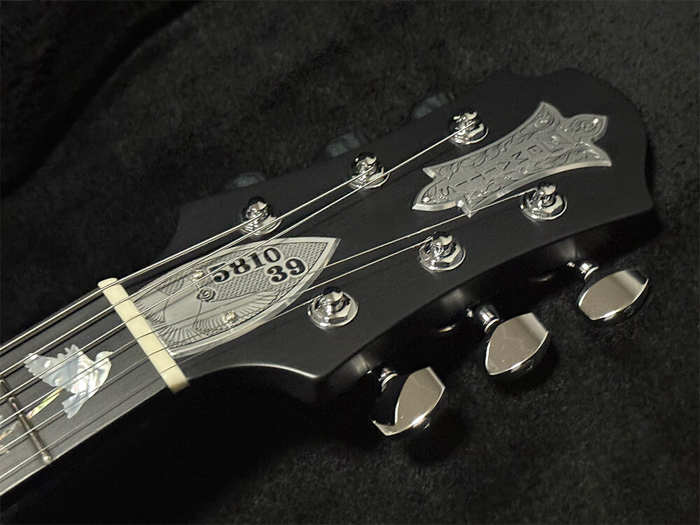 The Portrait Miku Kobato “Starry Pigeons”