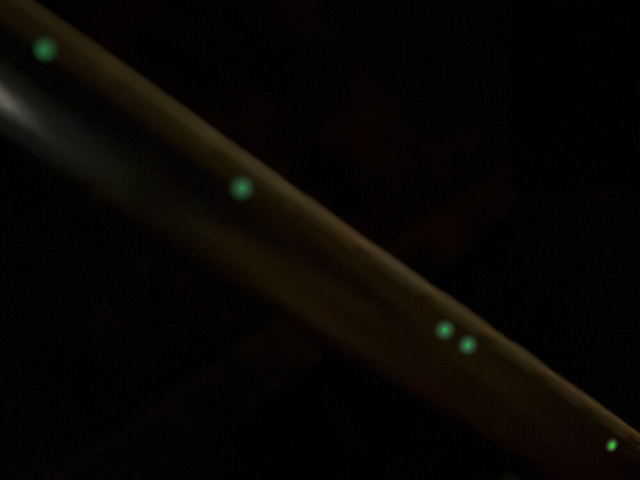 The Portrait Miku Kobato “Starry Pigeons”