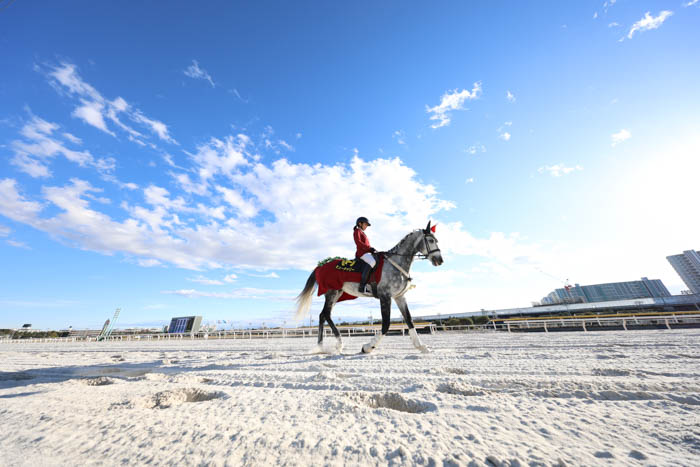 ミューチャリー