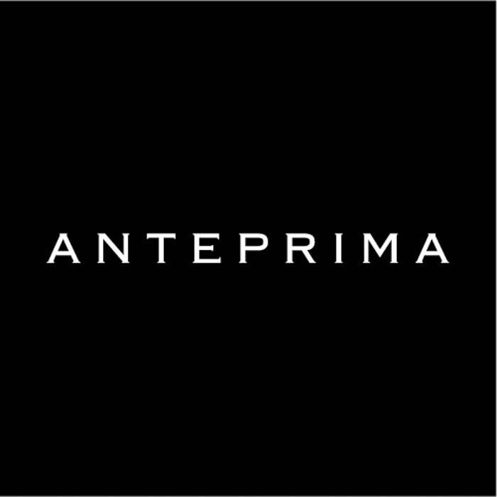 株式会社アンテプリマジャパン ロゴ