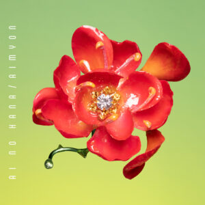 『愛の花』ジャケット