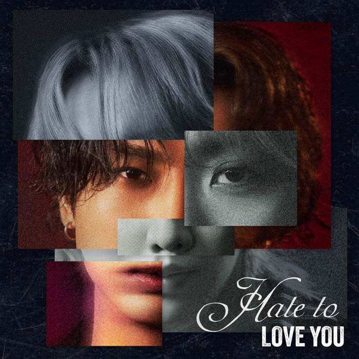 Hate to LOVE YOU feat. Aile The Shota ジャケット写真