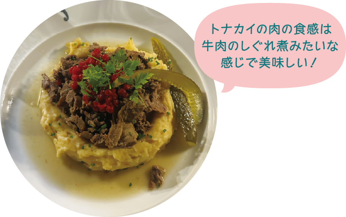 Renaさんの留学中の写真